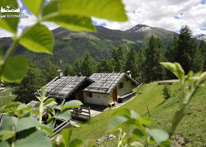 Baita Hanzel & Gretel By Livigno Accomodation