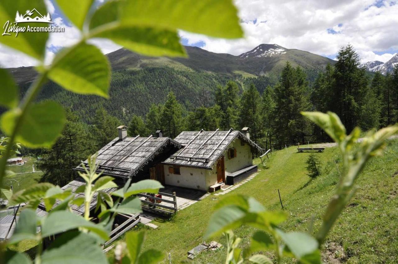 Baita Hanzel & Gretel By Livigno Accomodation * Livigno