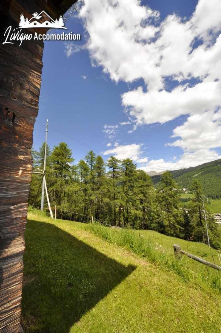 Baita Hanzel & Gretel By Livigno Accomodation